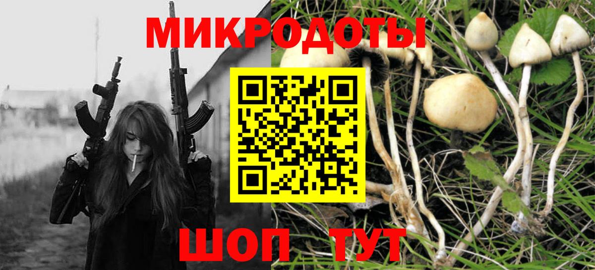 Галлюциногенные грибы Magic Shrooms Зеленогорск